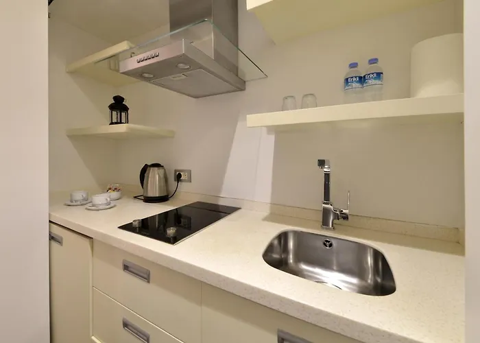 Nish Suites&hotel 3*